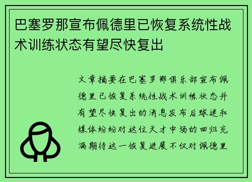 巴塞罗那宣布佩德里已恢复系统性战术训练状态有望尽快复出 巴塞罗那宣布佩德里已恢复系统性战术训练状态有望尽快复出